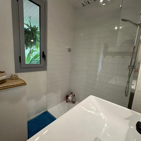 公寓 Tropez Centre Parking Et Jardin Prive Inclus *