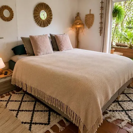 Apartment Tropez Centre Parking Et Jardin Prive Inclus *